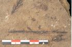 Foto (Detailansicht) von Walchia piniformis Sternbg. (NHMW-GEO-2024-0188-11125)